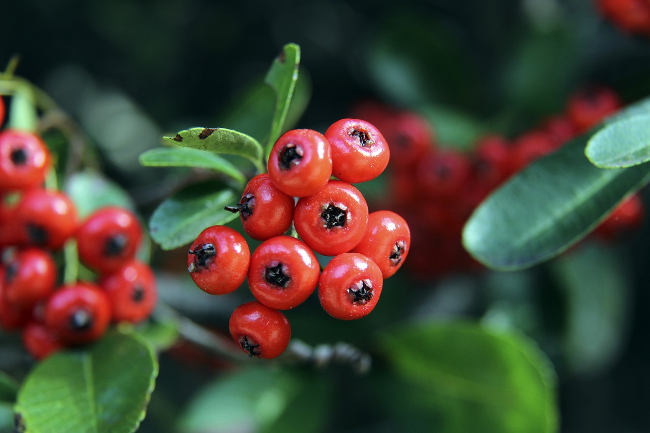 李盈莹传递 李盈莹传递