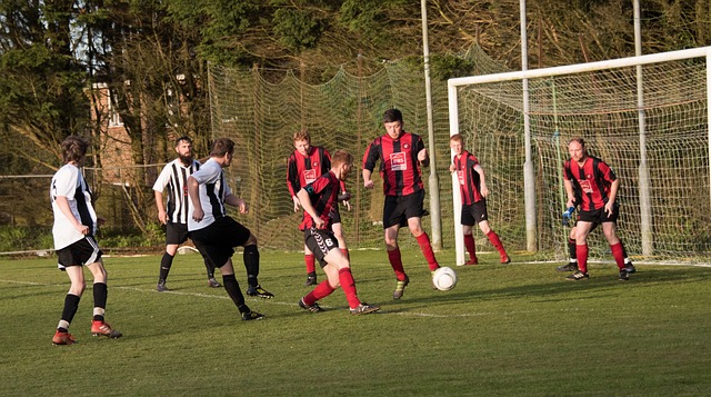 型的案例 型的案例