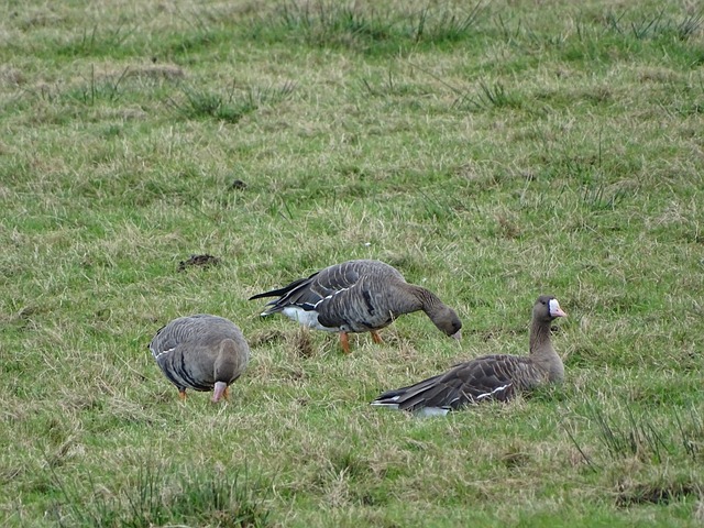 来说无疑是 来说无疑是