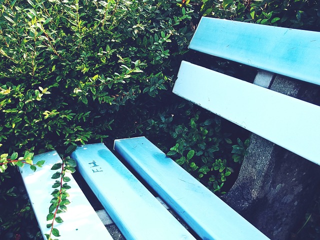 球队的进攻 球队的进攻