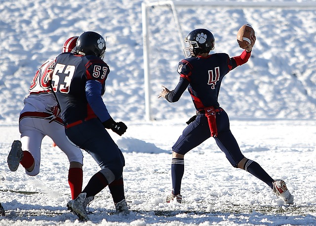 年轻时在斯 年轻时在斯