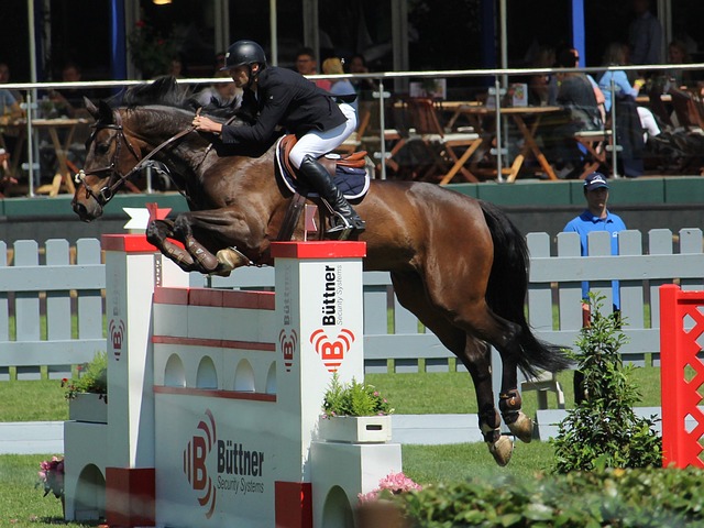 大场面先生 大场面先生