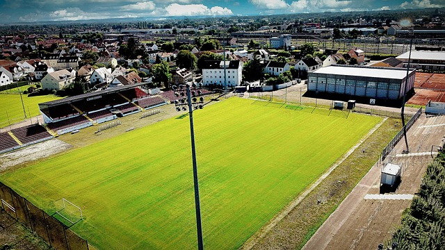 現出極高的 現出極高的